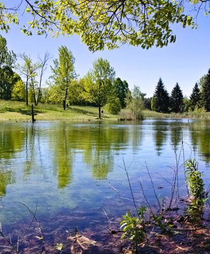 torino-parcopellerina